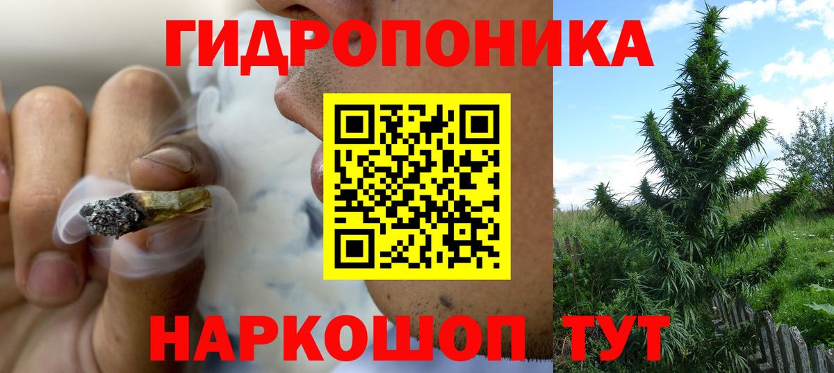 Марихуана план Мытищи